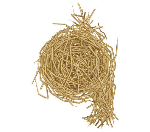Vested Component Nest